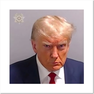 Trump 2023 Mugshot Georgia Posters and Art